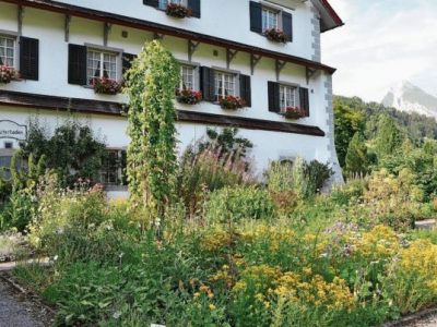 55ca91fa-4659-4414-85b6-0c939a7818fd-768x403